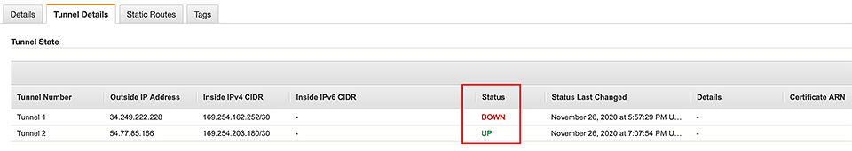AWS, the state of the VPN tunnels after the ping