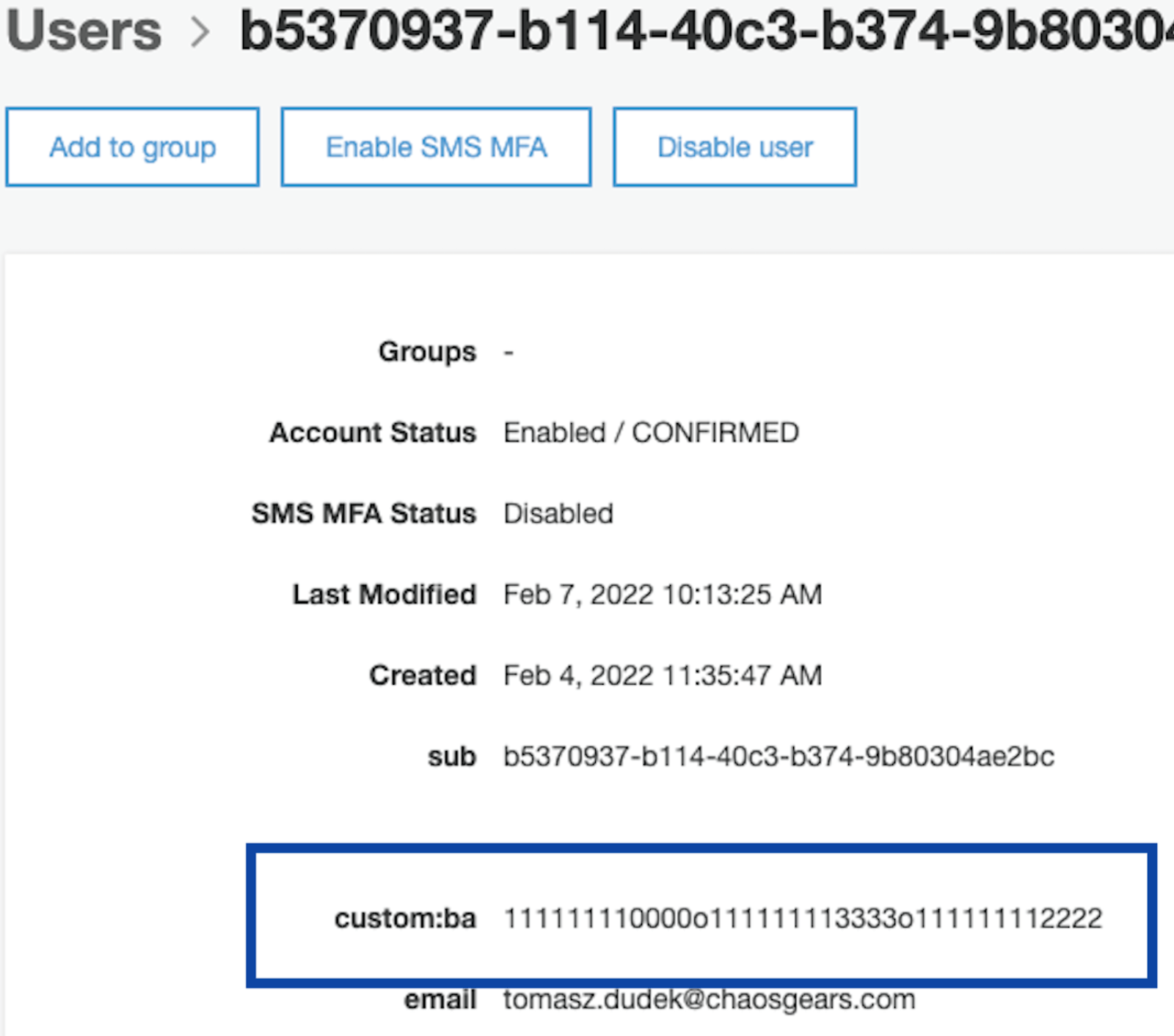 Screenshot of AWS Console showing an IAM user including a custom attribute